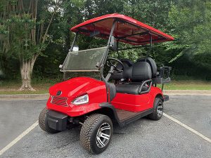 golf cart maintenance, palm bay golf cart service